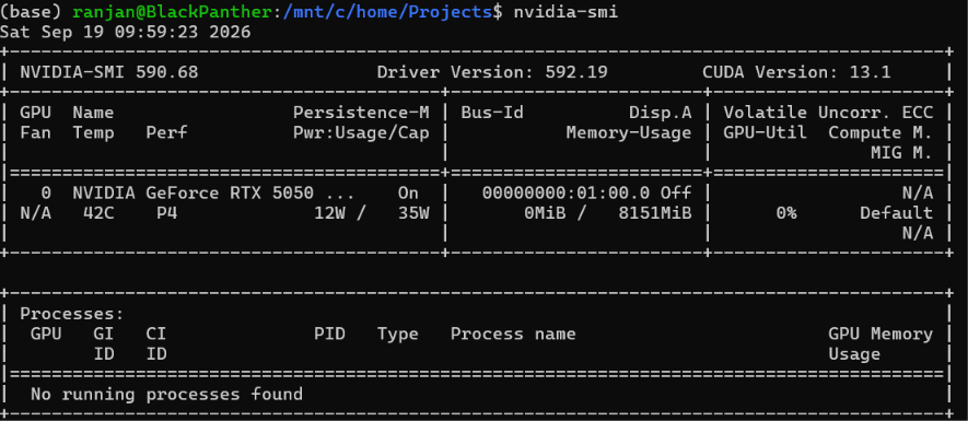 NVIDIA SMI output